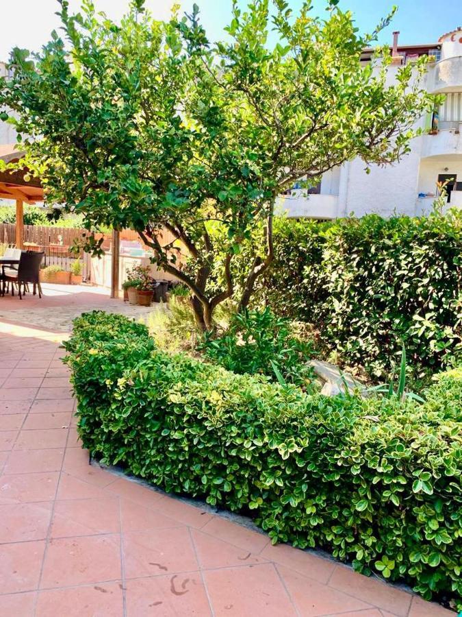 La Casetta Di Marika Marina di Cerveteri Exterior foto
